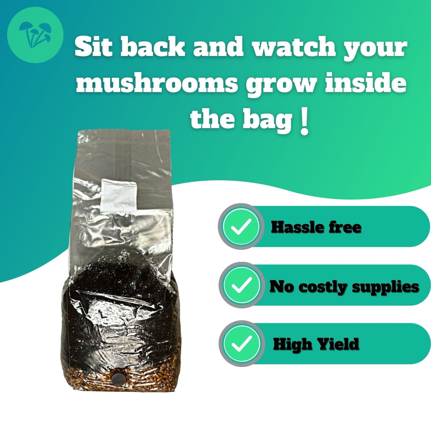 Coco-Magico | Mushroom Grow Kit