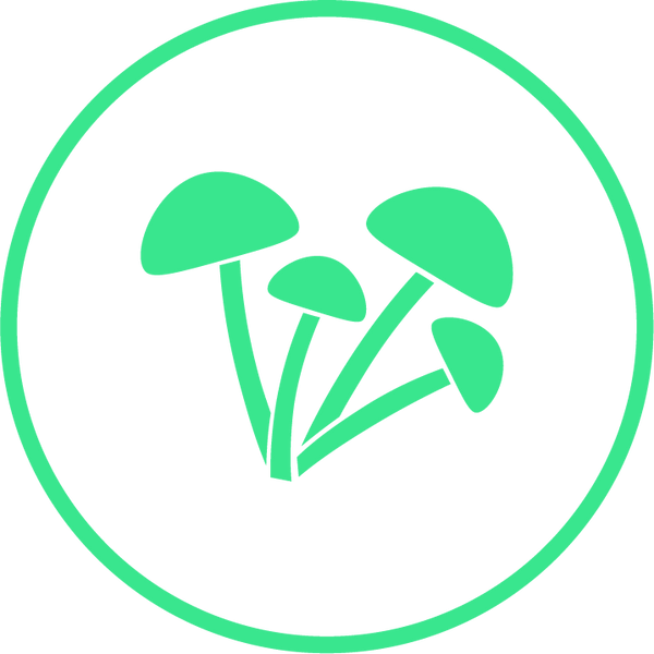 Spore Light Green Logo