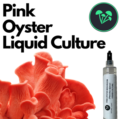 Pink Oyster Mushroom | Liquid Culture